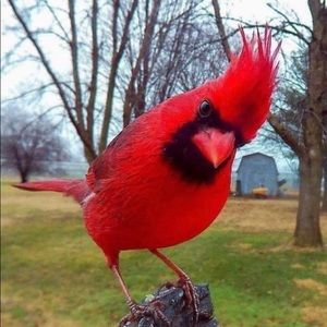 Meet your Posher, Maureen